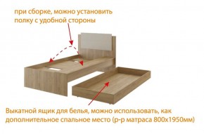 Дуглас (подростковая) М14 Кровать в Муравленко - muravlenko.mebel-74.com | фото