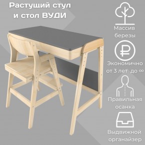 Комплект растущий стол и стул 38 попугаев «Вуди» (Серый, Без покрытия) в Муравленко - muravlenko.mebel-74.com | фото