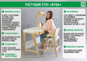 Комплект растущий стол и стул 38 попугаев «Вуди» (Серый, Без покрытия) в Муравленко - muravlenko.mebel-74.com | фото