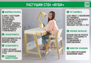 Комплект растущий стол и стул с чехлом 38 попугаев «Вуди» (Белый, Белый, Салют) в Муравленко - muravlenko.mebel-74.com | фото