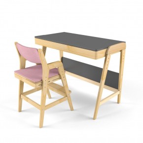 Комплект растущий стол и стул с чехлом 38 попугаев «Вуди» (Серый, Береза, Розовый) в Муравленко - muravlenko.mebel-74.com | фото