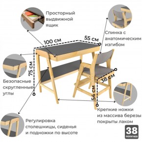 Комплект растущий стол и стул с чехлом 38 попугаев «Вуди» (Серый, Береза, Серый) в Муравленко - muravlenko.mebel-74.com | фото