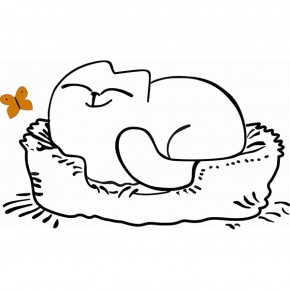 Кровать двухуровневая Кот № 900.1 ЛЕВАЯ (туя светлая/белый) в Муравленко - muravlenko.mebel-74.com | фото
