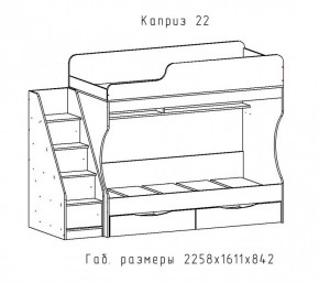 КАПРИЗ-22 Кровать двухъярусная 800 настил ЛДСП в Муравленко - muravlenko.mebel-74.com | фото