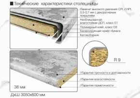Кухонный фартук со столешницей (А-01) в едином стиле (3050 мм) в Муравленко - muravlenko.mebel-74.com | фото