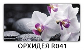 Обеденный раздвижной стол Бриз с фотопечатью Орхидея R041 в Муравленко - muravlenko.mebel-74.com | фото