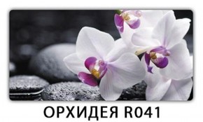 Обеденный стол Паук с фотопечатью узор Плита Р415 в Муравленко - muravlenko.mebel-74.com | фото
