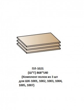 ПЛ-1021 (Комплект полок из 3 шт для ШК-1001, 1002, 1003, 1004, 1005, 1007) в Муравленко - muravlenko.mebel-74.com | фото