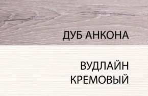 Шкаф 1DW, OLIVIA, цвет вудлайн крем/дуб анкона в Муравленко - muravlenko.mebel-74.com | фото