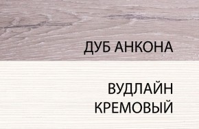 Шкаф 1DZ, OLIVIA, цвет вудлайн крем/дуб анкона в Муравленко - muravlenko.mebel-74.com | фото