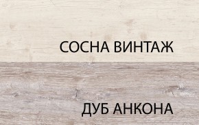 Шкаф 2D1SL, MONAKO, цвет Сосна винтаж/дуб анкона в Муравленко - muravlenko.mebel-74.com | фото