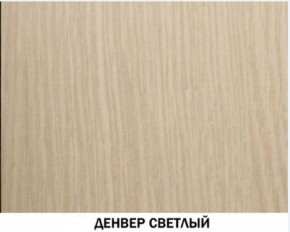 Шкаф для одежды №609 "Инна" Денвер светлый (*без полок) в Муравленко - muravlenko.mebel-74.com | фото