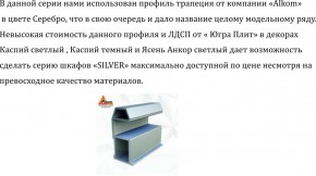 Шкаф-купе 1300 серии SILVER S5+S5+B2+PL3 (2 ящика+2 штанги) профиль «Серебро» в Муравленко - muravlenko.mebel-74.com | фото