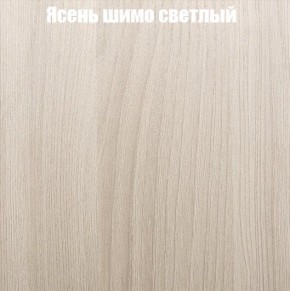 Шкаф-купе «ТАНДЕМ» 2-х дверный в алюминиевом профиле (Дверь К+К) 1200/h2200 в Муравленко - muravlenko.mebel-74.com | фото