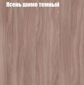 Шкаф-купе «ТАНДЕМ» 2-х дверный в алюминиевом профиле (Дверь К+К) 1200/h2200 в Муравленко - muravlenko.mebel-74.com | фото