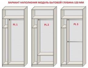 Шкаф распашной серия «ЗЕВС» (PL3/С1/PL2) в Муравленко - muravlenko.mebel-74.com | фото