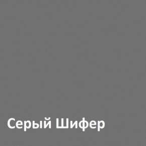 Юнона Шкаф торцевой 13.221 в Муравленко - muravlenko.mebel-74.com | фото